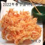 桜えび2022春